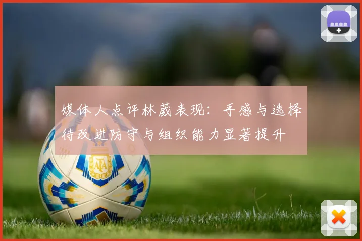 媒体人点评林葳表现：手感与选择待改进防守与组织能力显著提升