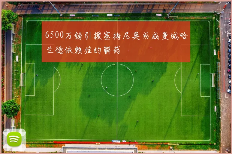 6500万镑引援塞梅尼奥或成曼城哈兰德依赖症的解药